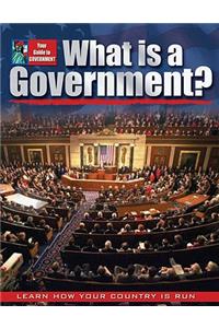What Is a Government?