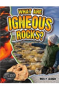 What Are Igneous Rocks?