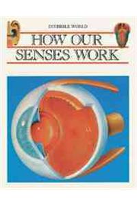 How Our Senses Work