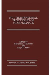 Multidimensional Processing of Video Signals