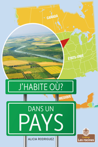 Dans Un Pays