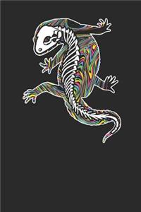 Gecko Skeleton