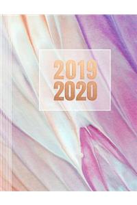 2019-2020