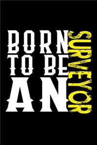 Born to be a surveyor