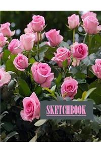 Roses Sketchbook