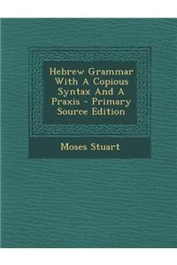 Hebrew Grammar with a Copious Syntax and a Praxis