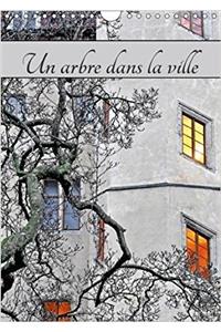 Arbre Dans La Ville 2018