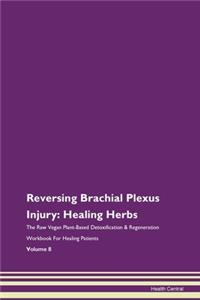 Reversing Brachial Plexus Injury: Healin