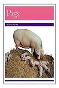 Animals - Pigs