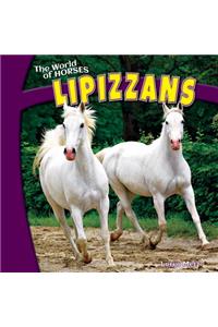 Lipizzans