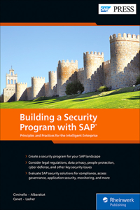 Building a Security Program with SAP