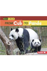 From Cub to Panda
