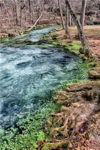 Little Stream in Missouri Journal