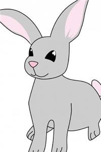 Rabbit Cute Journal