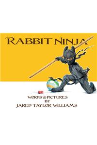 Rabbit Ninja