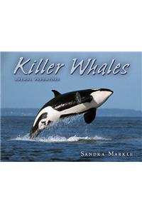 Killer Whales
