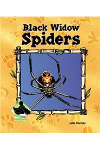 Black Widow Spiders