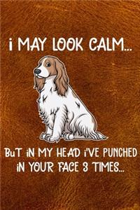 I May Look Calm But In My Head I've Punched In Your Face 3 Times
