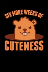Six More Weeks Of Cuteness