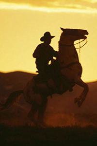 2020 Daily Planner Horse Photo Equine Cowboy On Rearing Horse 388 Pages