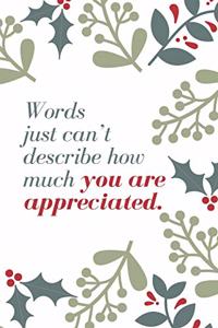 Words just can't describe how much you are appreciated.