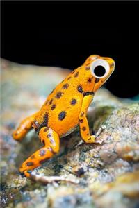 Googly Eye Frog Journal