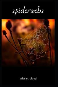 spiderwebs