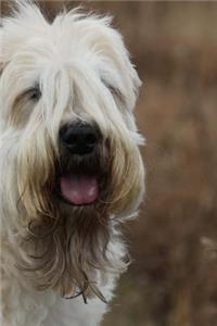 Soft Coated Wheaten Terrier Journal