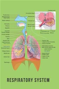 Respiratory System