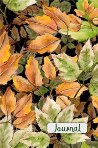 Journal