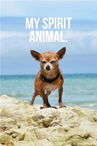 My Spirit Animal: Chihuahua Journal
