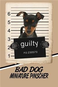 Bad Dog Miniature Pinscher