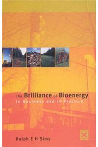 The Brilliance of Bioenergy