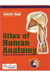 Atlas of Human Anatomy