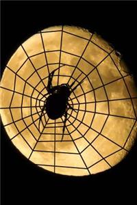 Spider Web and the Moon Journal