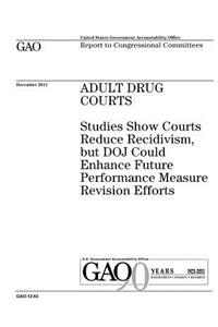 Adult drug courts