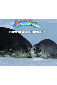 How Seals Grow Up