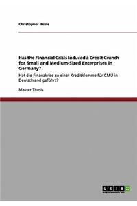 Has the Financial Crisis Induced a Credit Crunch for Small and Medium-Sized Enterprises in Germany?