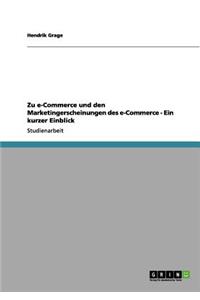 Zu e-Commerce und den Marketingerscheinungen des e-Commerce - Ein kurzer Einblick