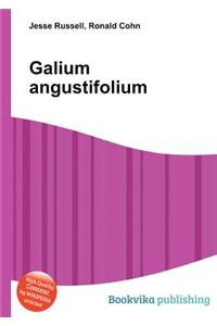Galium Angustifolium