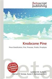 Knobcone Pine