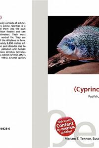 Orestias (Cyprinodontidae)