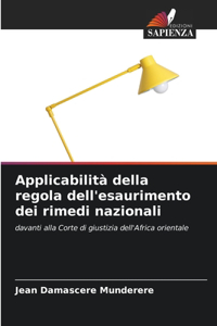 Applicabilità della regola dell'esaurimento dei rimedi nazionali