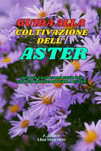 Guida alla Coltivazione dell' Aster