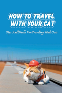 How To Travel With Your Cat
