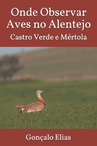 Onde Observar Aves no Alentejo
