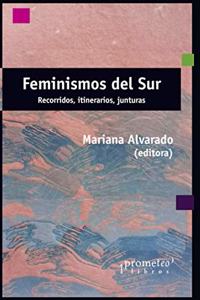 Feminismos del sur: Recorridos, itinerarios, junturas