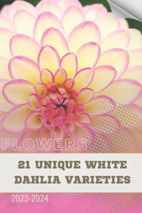 21 Unique White Dahlia Varieties