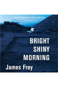 Bright Shiny Morning