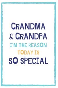 Grandma & Grandpa I'm The Reason Today Is So Special